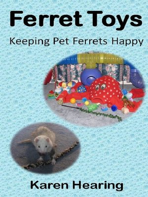 cover image of Ferret Toys
